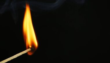 Mandatário da candidatura do Chega à Câmara de Vendas Novas detido por suspeitas de ter ateado fogos
