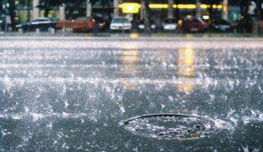 Chuva forte coloca oito distritos de Portugal Continental sob aviso amarelo