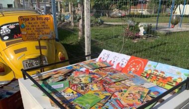 Projeto de São Lourenço do Sul procura doadores de livros para estudantes