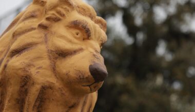 Leão vai deixar de ser feio? Polêmica estátua de Porto Alegre está sendo repintada: "Ficará com o olhar mais bonito"