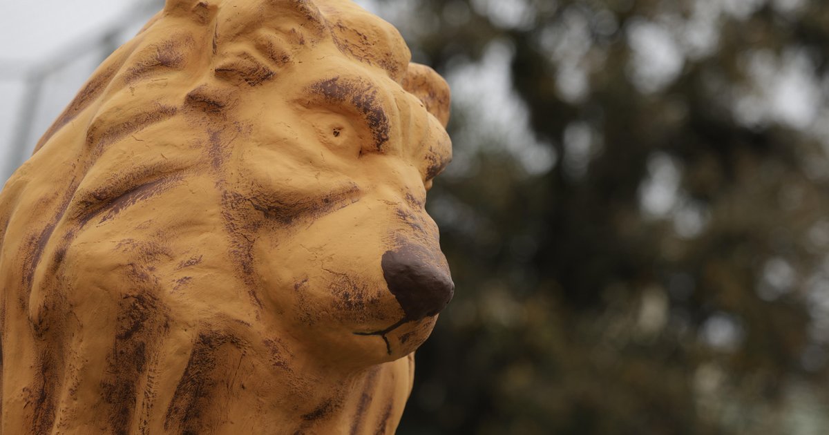 Leão vai deixar de ser feio? Polêmica estátua de Porto Alegre está sendo repintada: "Ficará com o olhar mais bonito"