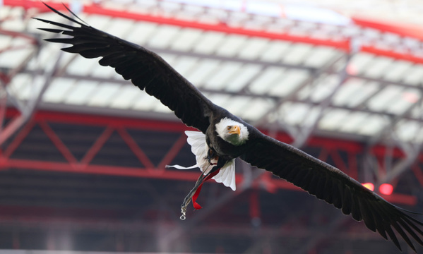 Benfica SAD Relatório Contas Exercício 2024/25