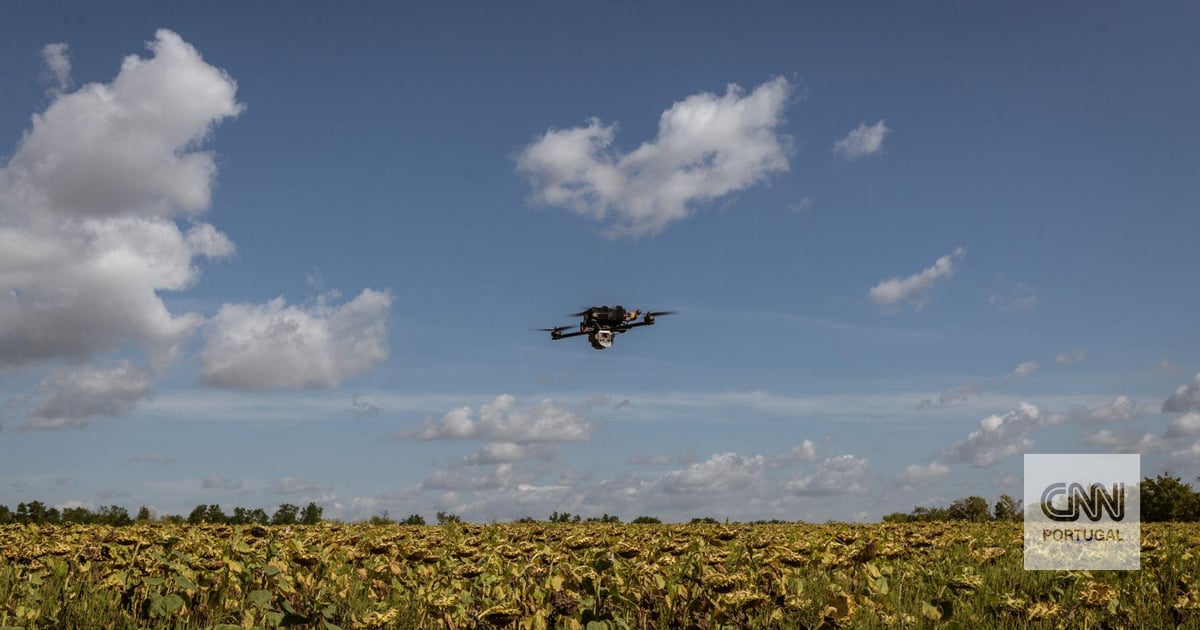 Forças Armadas polacas abatem "drones" que invadiram espaço aéreo polaco