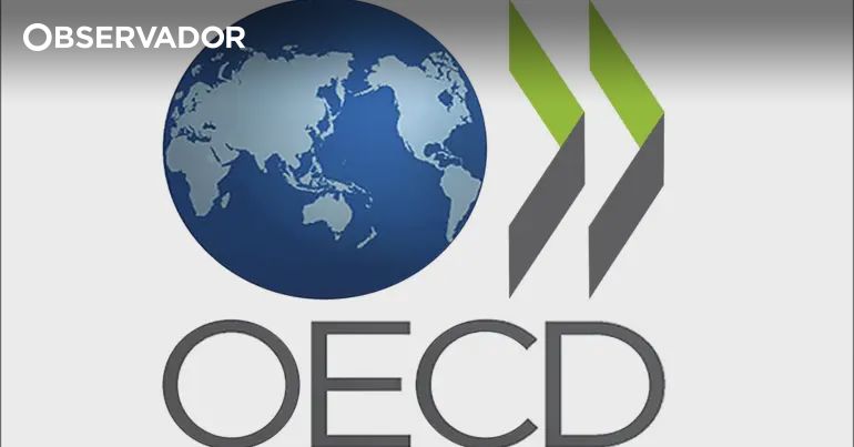 Professores ganham mais que outros diplomados do superior – Observador