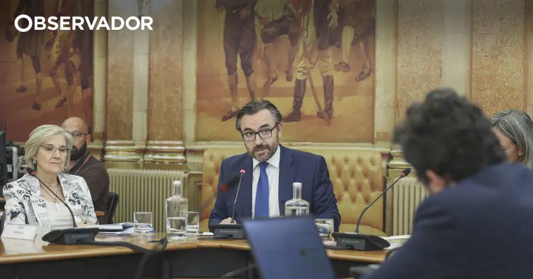Nacionalidade. IRN quer lei em vigor o mais rápido possível – Observador