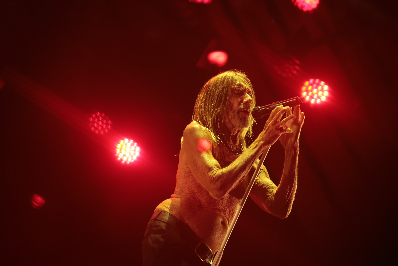 Iggy Pop no The Town 2025 — Foto: Maria Isabel Oliveira / Agência O Globo