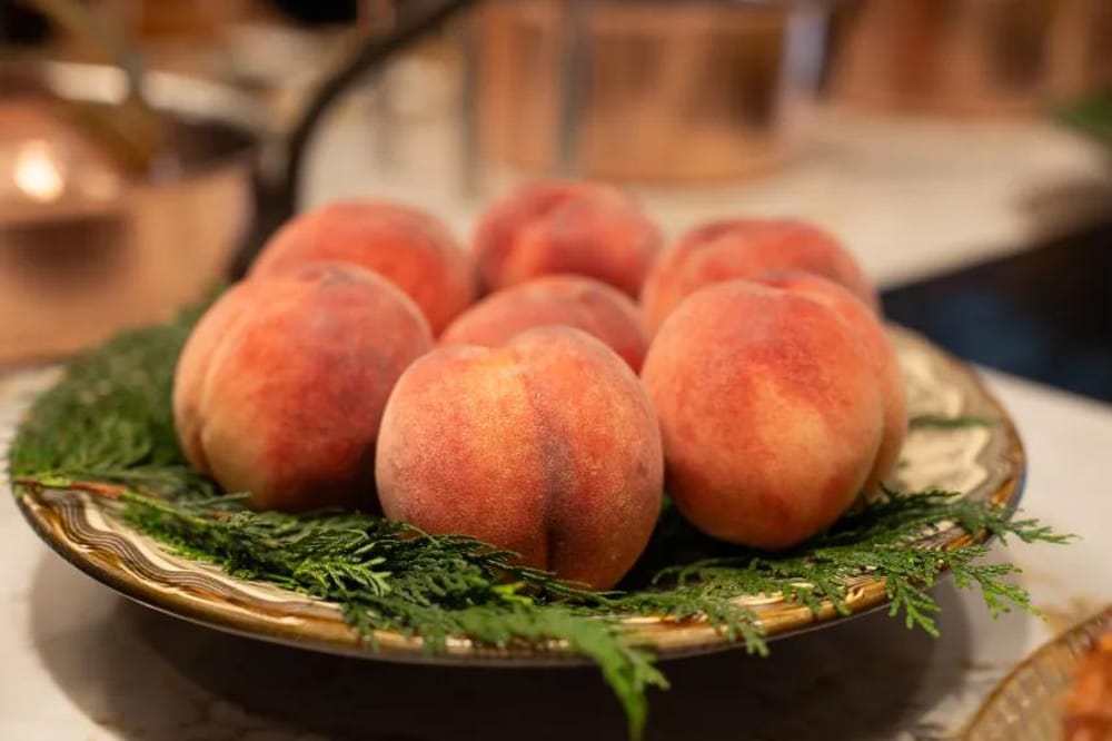 Pêssegos no Sugalabo, Tóquio. O chefe Yosuke Suga explica que o restaurante obtém os seus pêssegos de uma forma hiper-sazonal, utilizando cada variedade apenas durante uma semana para obter a máxima maturação (Yumi Asada/CNN)