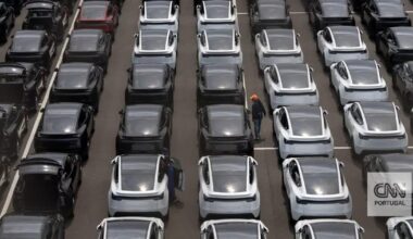 Há crianças a ficarem presas dentro de Teslas. Uma grande investigação vai tentar resolver o problema