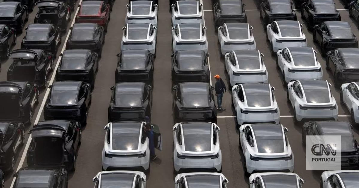 Há crianças a ficarem presas dentro de Teslas. Uma grande investigação vai tentar resolver o problema