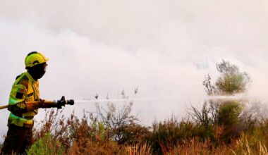 Cinco bombeiros feridos em incêndios no distrito de Viseu
