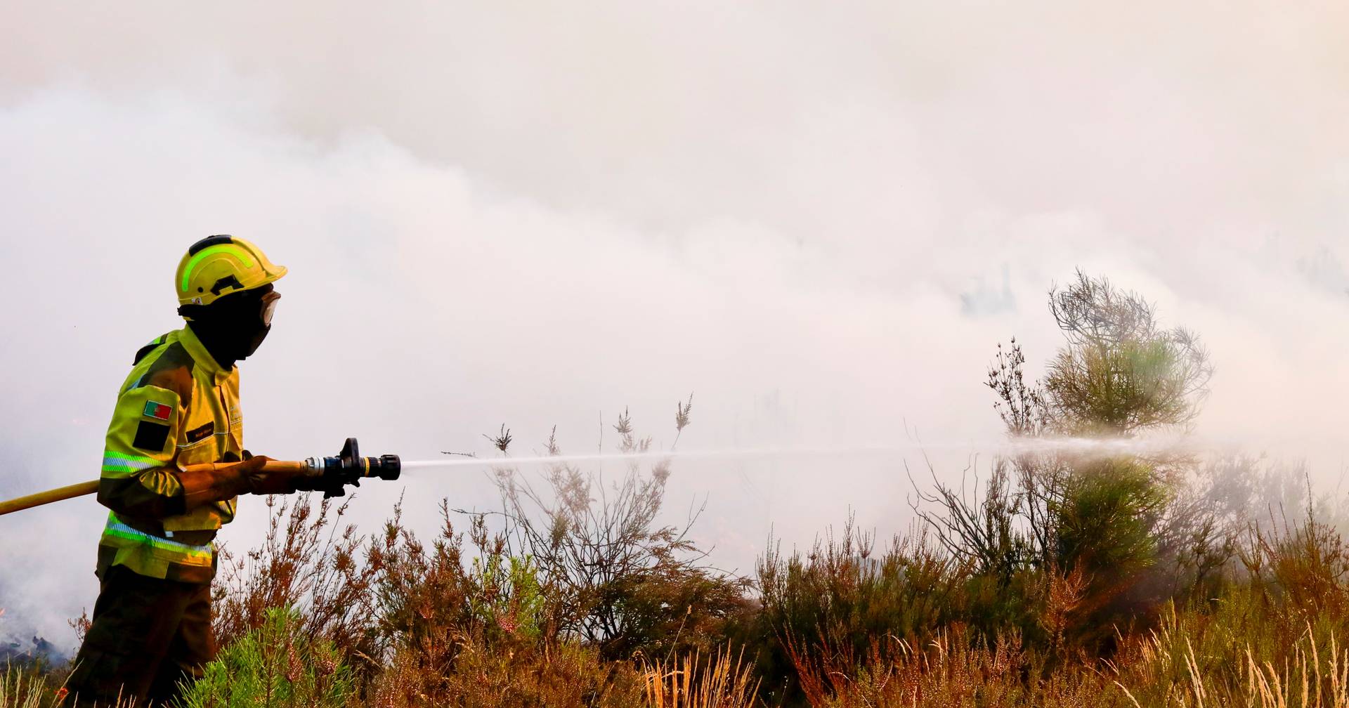 Cinco bombeiros feridos em incêndios no distrito de Viseu