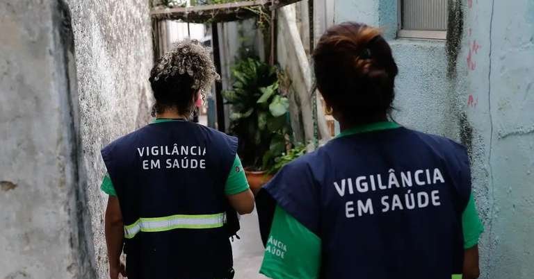 Veja quais bairros de Porto Alegre vão receber novas tecnologias contra o mosquito da dengue