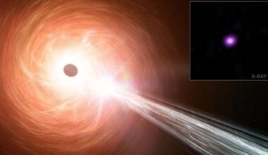 Buraco negro em crescimento rápido pode ajudar a desvendar segredos do universo