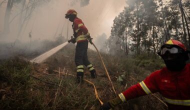 Fogo em Montalegre "continua a arder com intensidade"
