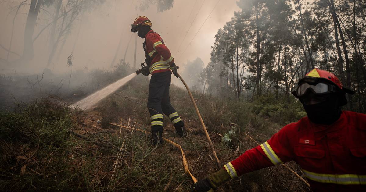 Fogo em Montalegre "continua a arder com intensidade"