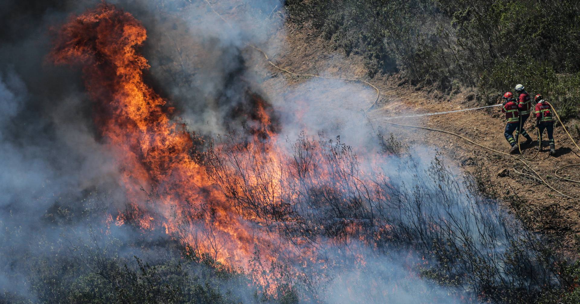 Incêndio em Aljezur já mobiliza mais de 300 operacionais