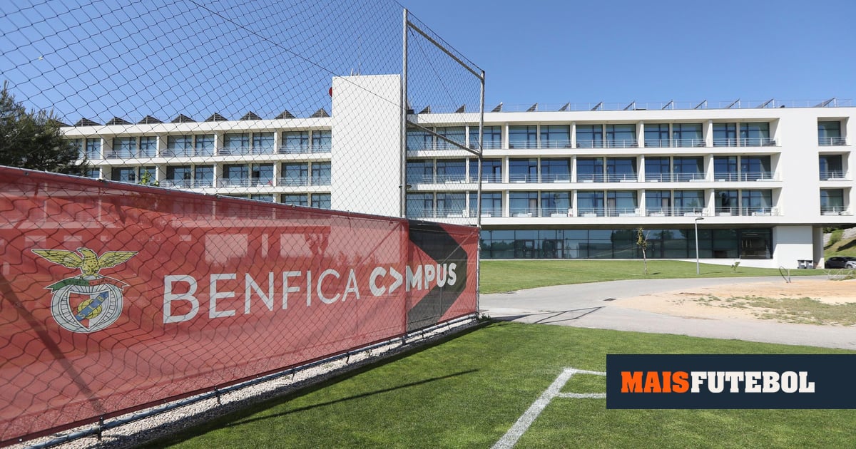 Benfica Campus: aposta em jovens aumenta, mas tarda a aparecer outro João Neves