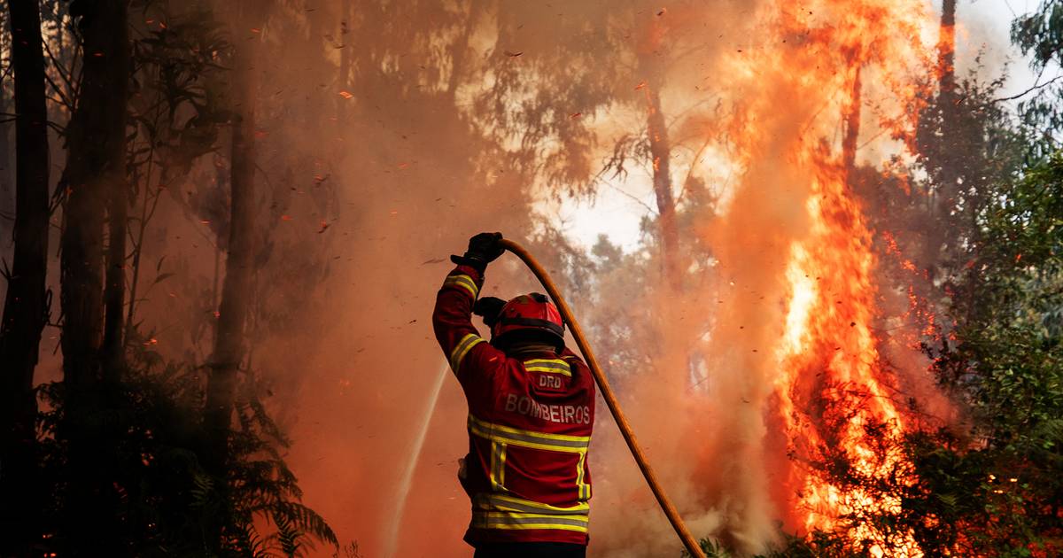 "Incêndio em Aljezur e Lagos está dominado em 70% mas linha de fogo de 8 km preocupa Proteção Civil"