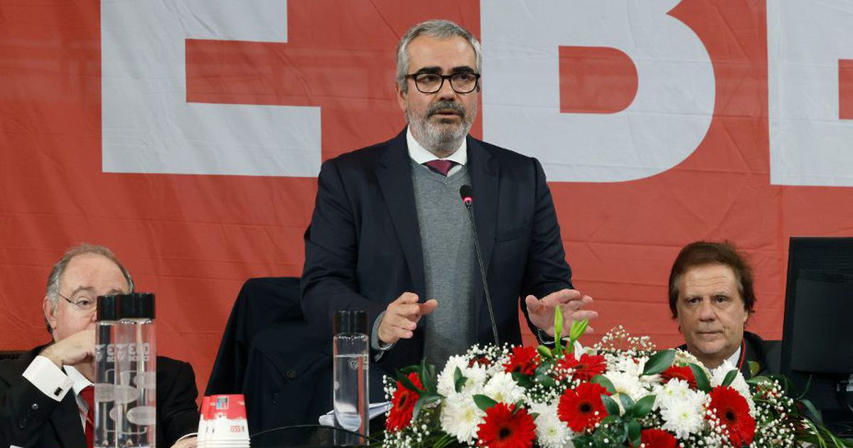 Benfica esclarece processo eleitoral | A Bola