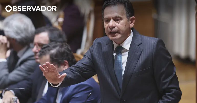 "Só gostam de falar mal" – Observador