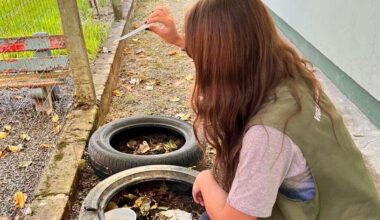 A cada 90 imóveis vistoriados em Novo Hamburgo, um apresenta foco do mosquito Aedes Aegypti