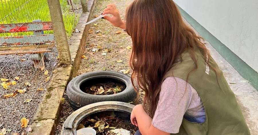 A cada 90 imóveis vistoriados em Novo Hamburgo, um apresenta foco do mosquito Aedes Aegypti
