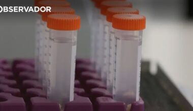 Estudo mostra que reposição de vitamina C atrasa Alzheimer – Observador