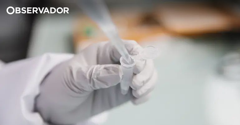 Apresentado em Viseu dispositivo que identifica bactérias – Observador