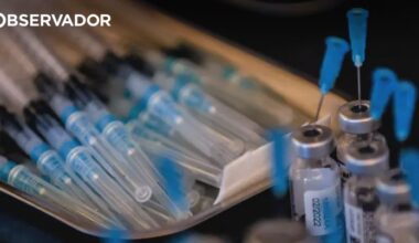 Mais de 287 mil pessoas vacinadas contra a gripe e Covid-19 – Observador