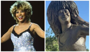 Tina Turner ganha estátua 'irreconhecível' na sua cidade natal e críticas explodem nas redes | Música
