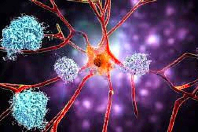 O acúmulo de substâncias tóxicas estimulado pela exposição a poluentes atmosféricos destrói as células cerebrais