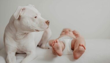 Bebês expostos a alérgeno canino tiveram risco 48% menor de ter a doença -  (crédito: FreeStock/Divulgação )