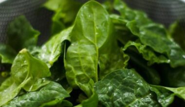 5 alimentos bons para a saúde dos olhos