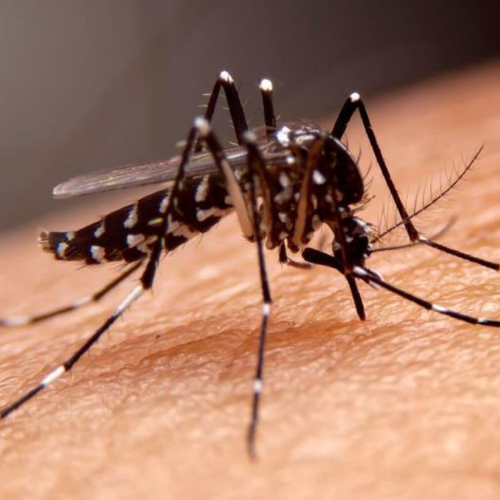 Cidade de Minas confirma primeiro caso de febre amarela