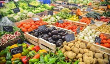 A base da dieta de saúde planetária inclui alimentos naturais ou minimamente processados; consumo de leite e carne é limitado -  (crédito: Ed Gregory/Free Stock Photos )