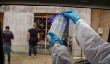 'Mosquitos do bem' são soltos no DF para ajudar no combate à dengue