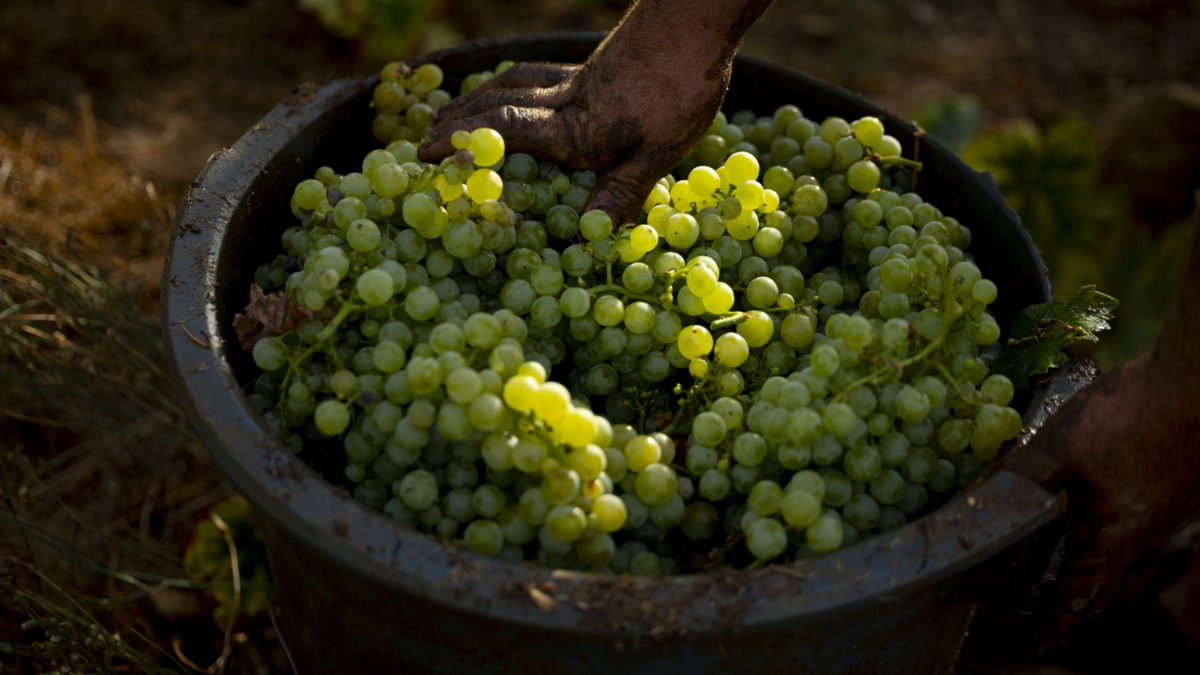 Jornal de Notícias Logo