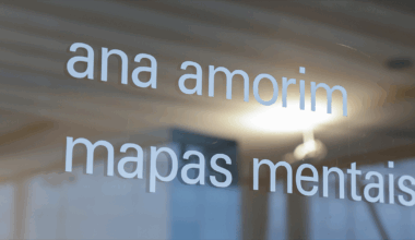 MAC exibe a arte conceitual de Ana Amorim – Jornal da USP