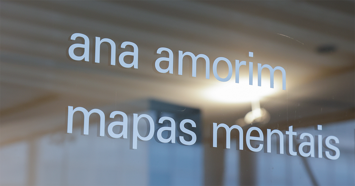 MAC exibe a arte conceitual de Ana Amorim – Jornal da USP