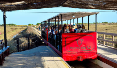Colisão entre combois turísticos faz 14 feridos