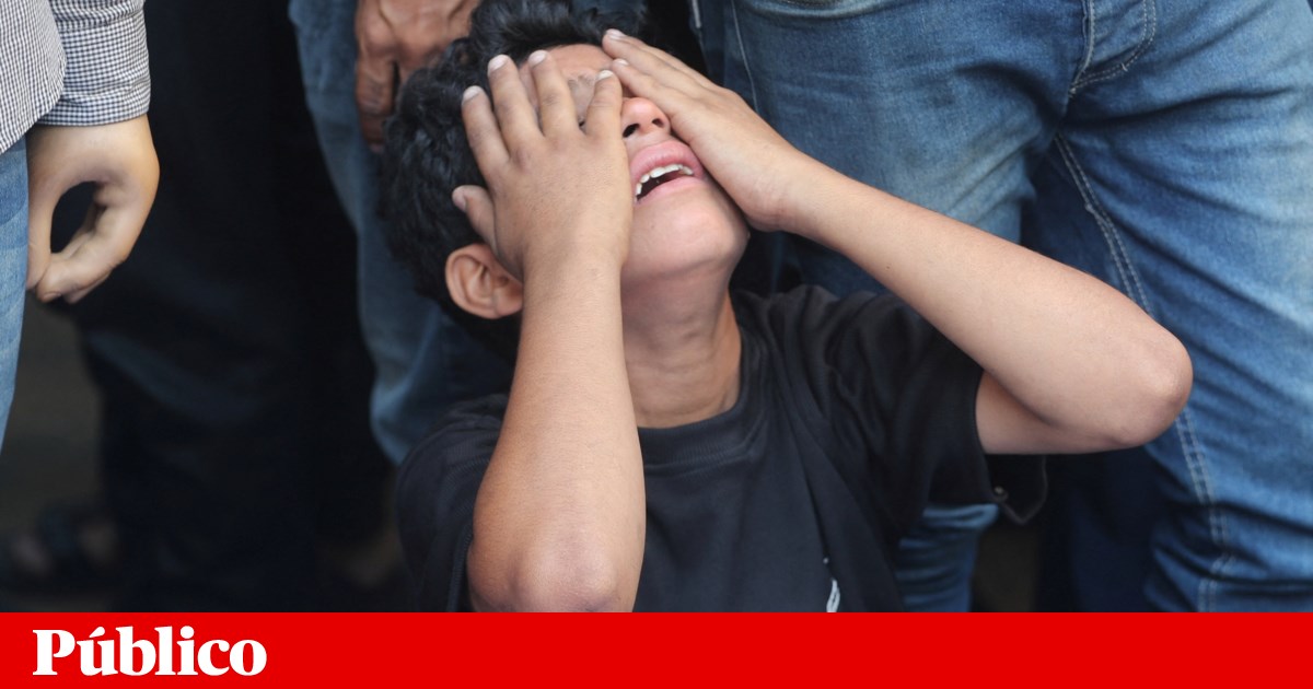Israel está a cometer genocídio, conclui associação internacional de académicos | Médio Oriente
