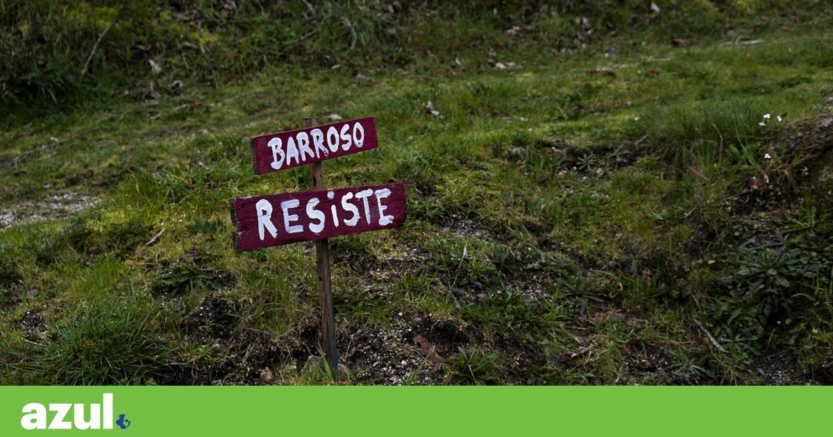 Consulta pública da mina do Barroso viola convenção de Aarhus. Lei pode ter de mudar | Ambiente