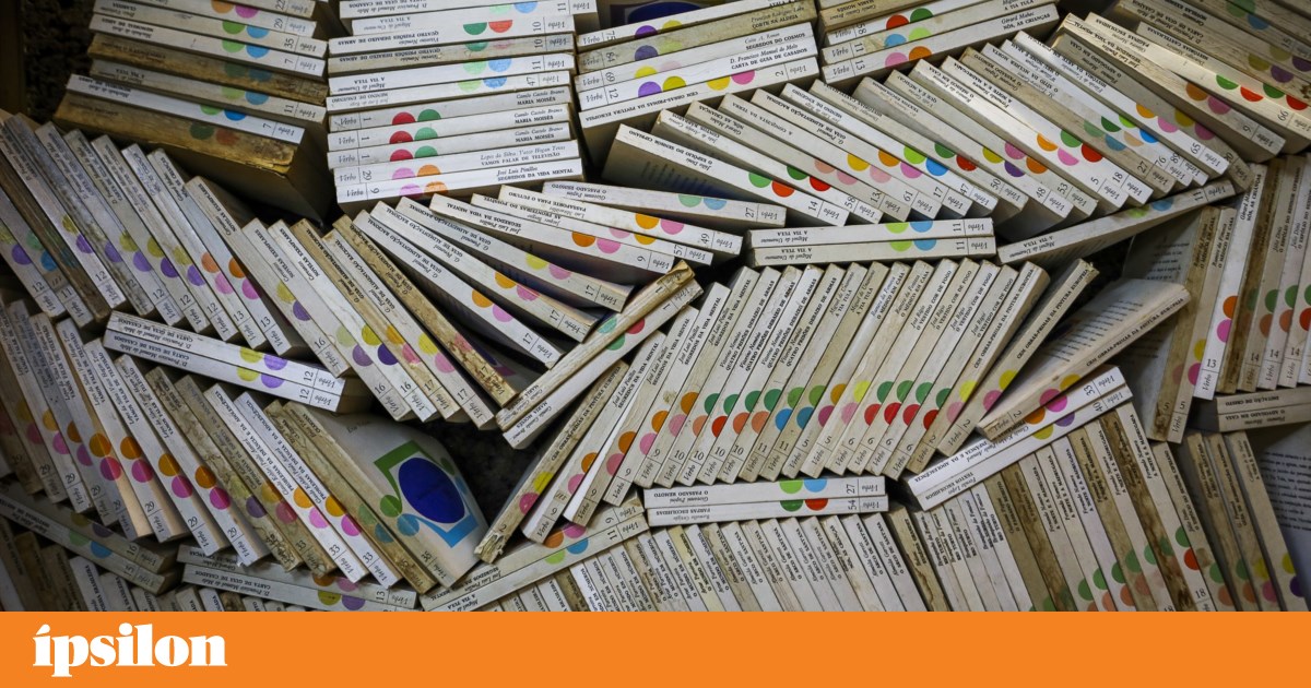 Os portugueses estão a ler mais, sobretudo os mais jovens, mas a comprar menos livros | Livros