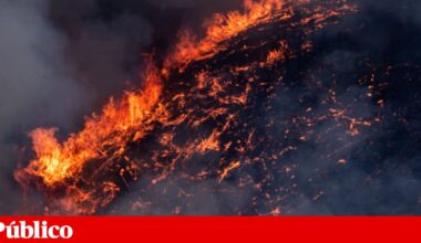 Mandatário autárquico do Chega em Vendas Novas detido por suspeita de atear fogos | Incêndios