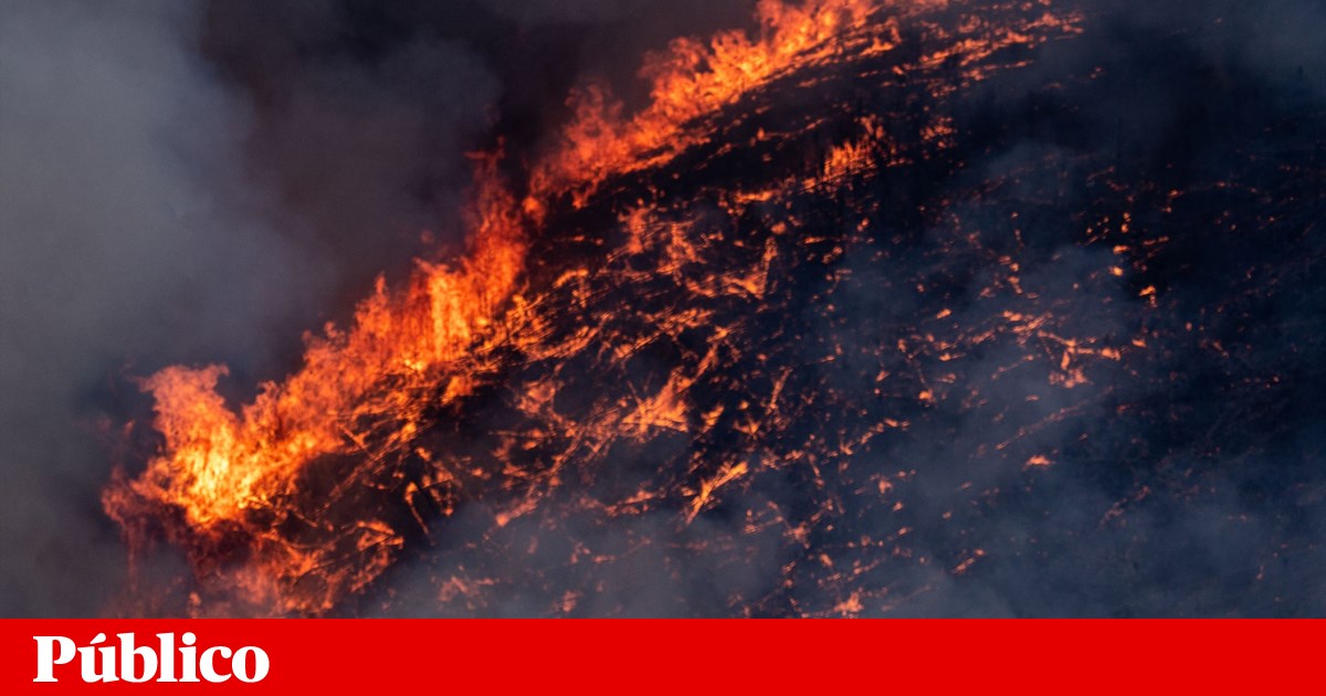 Mandatário autárquico do Chega em Vendas Novas detido por suspeita de atear fogos | Incêndios