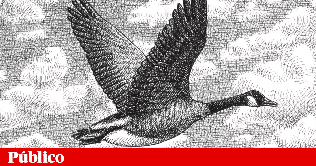 O que é natural | Opinião