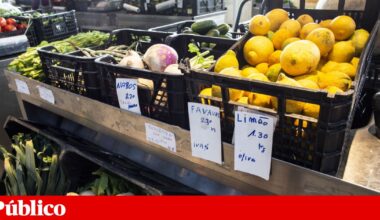 Inflação acelera em Agosto para 2,8% com aumento de 7% nos bens alimentares | Alimentação