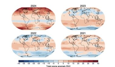 Boas notícias: a este ritmo, o buraco da camada de ozono pode recuperar em 2040 | Alterações climáticas