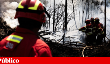 Fogo que começou em Aljezur chega a Lagos. “Algumas pessoas retiradas de casa” | Incêndios
