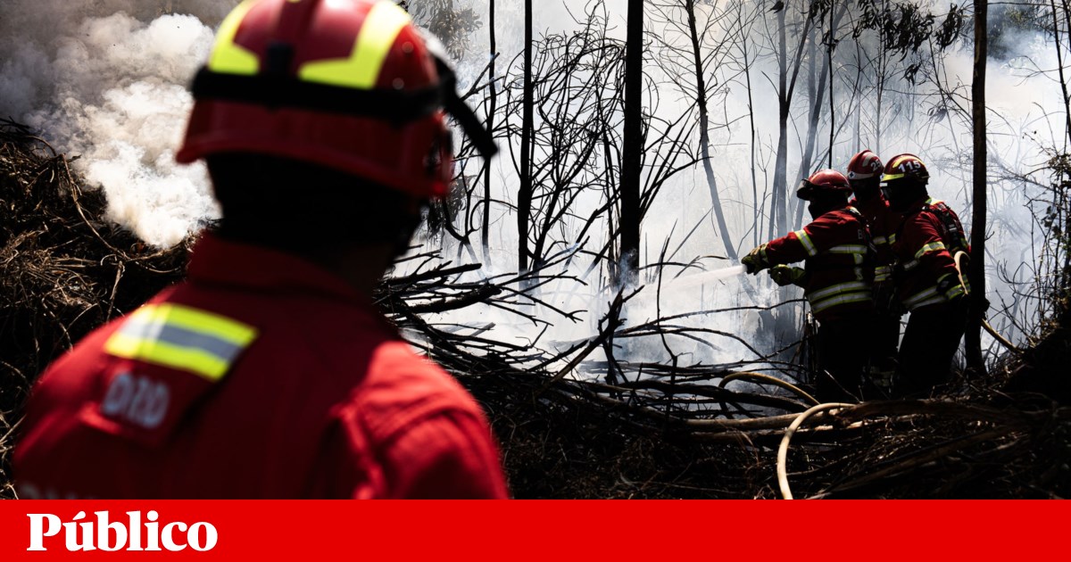 Fogo que começou em Aljezur chega a Lagos. “Algumas pessoas retiradas de casa” | Incêndios